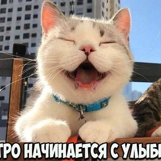 Логотип телеграм канала @humortuto — Юмор😆Ржака🤣Приколы