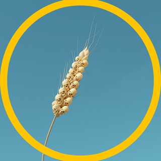 Логотип телеграм канала @hungry_time — Голод ⚠️🌾