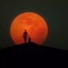 لوگوی کانال تلگرام hunnysplaylist — Hunny’s playlist