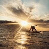 Logo of telegram channel huntingforwaves — Охотник за волнами🏄‍♂