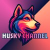 Логотип телеграм канала @huskydrops — 🐾HUSKYDROPS🐾