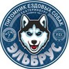 Логотип телеграм канала @huskyural66 — Питомник хаски Эльбрус