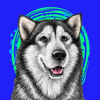 Логотип телеграм канала @husmut_token — HUSMUT 🐺🐺🐺 ХАСМУТ
