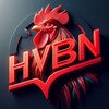 Логотип телеграм канала @hvbnchek — Чеки от HVBN