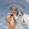 Логотип телеграм канала @hvostik_humor — 🐾Хвостатый переполох🐾