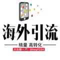 电报频道的标志 hwyl12345 — 海外引流