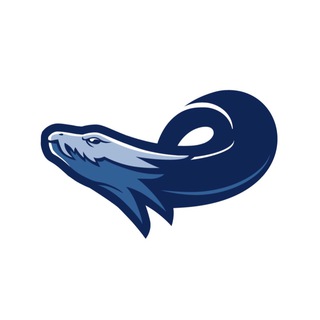 Логотип телеграм канала @hydraow — Hydra Open Water News