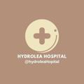 Telgraf kanalının logosu hydroleahospital — ROMBAK. Hydrolea Hospital