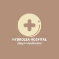 Logo of telegram channel hydroleahospital — .
