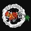 Logo of telegram channel hydromoney707 — 93Flowerz 🏁📦
