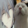 Логотип телеграм канала @hygz33 — hygz