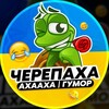 Логотип телеграм канала @hymof_ua1 — Черепаха Аха-Аха | Гумор