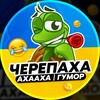 Логотип телеграм -каналу hymor_ua1 — Черепаха Аха-Аха | Гумор