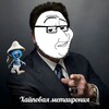 Логотип телеграм канала @hype_metairony — Хайповая метаирония