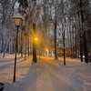 Логотип телеграм канала @hysolik — Ну, Солик…