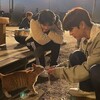 Telegram channel flourice fell in 愛 logo