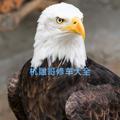 Telegram channel 杭雕哥 杭州修车 大中小圈全覆盖 logo
