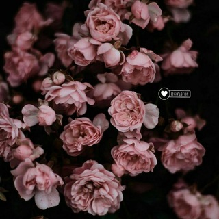 Логотип телеграм канала @i_cherezgoda — i.cherezgoda🌺