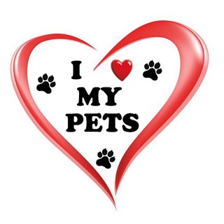Logo del canale telegramma i_love_my_pets - I Love My Pets