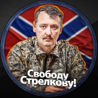 Логотип телеграм канала @i_strelkov_2023 — Мирослава Регинская (Свободу Стрелкову!)