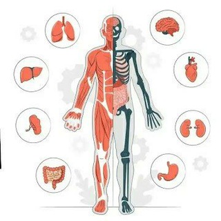 لوگوی کانال تلگرام i131k — عالم الطب.