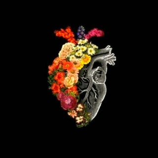 لوگوی کانال تلگرام i9xi4 — نــافذة الأمل 🦋..