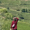 Логотип телеграм канала @i_tsarevich — Пора что-то менять