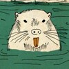 Logo of telegram channel iamanutria — I'm a nutria 🐀🦫🐁
