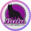 Логотип телеграм канала @iambalustore — Balu | о собаках и для собак ( и кинологов)