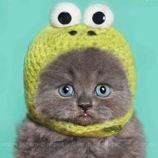 Лагатып тэлеграм-канала iamplacebo — PLACEBO 😌