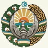 Telegram kanalining logotibi ibn_akhror — ibn Akhror