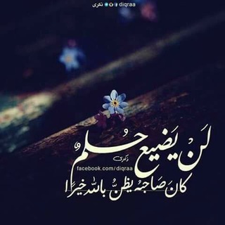 لوگوی کانال تلگرام ibnalsalmi — رشفات مشاعر
