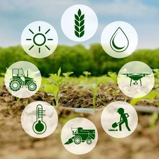 Logo saluran telegram ibps_afo_agriculture_fssai_icar — IBPS AFO Agriculture FSSAI ICAR