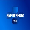 Логотип телеграм канала @ibragimov_vet — Ибрагимов Иван Романович