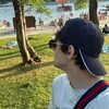 Логотип телеграм канала @ibralegit — суета ибры