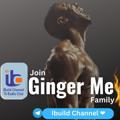 Logo saluran telegram ibuildchannel — IBuild Channel #GingerMe ❤️