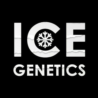 Логотип телеграм канала @ice_archive — ICE (Архив)