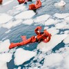 Логотип телеграм канала @icefloatingmsk — IceFloatingMsk