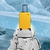 Telegram channel Чемоданы в Беларуси | Iceland.by logo