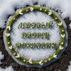 Логотип телеграм канала @icepalacerm — Ледовый дворец Мордовии