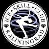 Logo of telegram channel iceskillclub — ICE SKILL CLUB