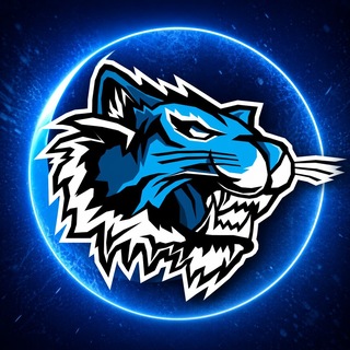 Логотип телеграм канала @icetigers_hockey — ICETIGERS | Зверский прогресс