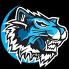 Логотип телеграм канала @icetigers_hockey — ICETIGERS™ - хищники на льду
