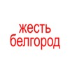 Логотип телеграм -каналу ichkeriafurry — Жесть Белгород