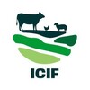 Telegram kanalining logotibi icifuz — ICIF