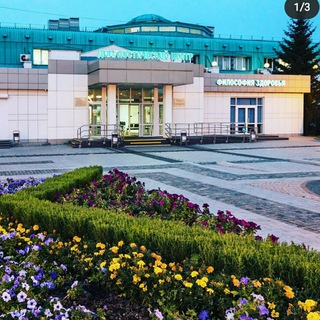 Логотип телеграм канала @idc_ru — Иркутский диагностический центр