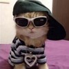 Логотип телеграм канала @idelya6 — Название канала