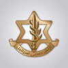 لوگوی کانال تلگرام idfinfarsi — ارتش دفاعى اسرائيل