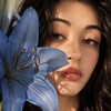 Логотип телеграм канала @idnumbx — Numb