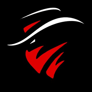 Логотип телеграм канала @idohunter_squad — IDO HUNTER 🥷